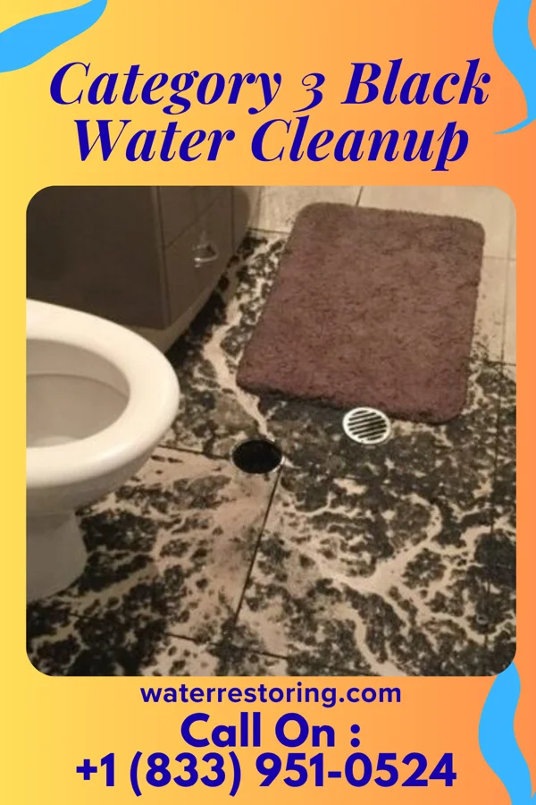 Category 3 Black Water Cleanup in Sugar Mountain, NC