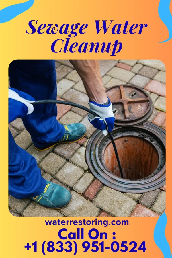 Sewage Water Cleanup in Sugar Mountain, NC