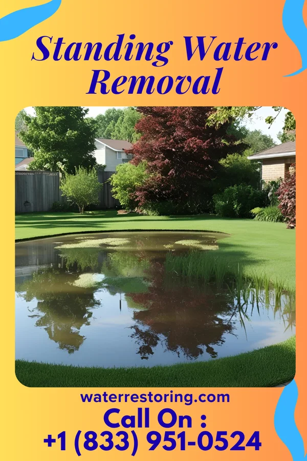 Standing Water Removal in Sugar Mountain, NC